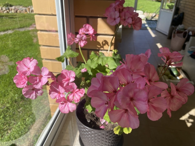 Купить дом в Москве. Вариант № 11944, 38, площадь - квм, цена 16800000 рублей