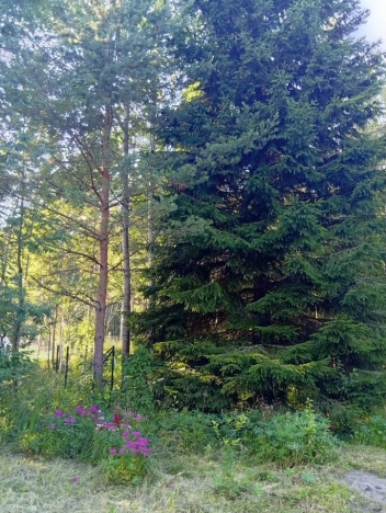 Купить земельный участок у метро Рыбацкое в Ленинградской области. Вариант № 2120741, 10, площадь -  квм, цена 3150000 рублей