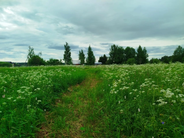 Купить земельный участок в Вологодской области. Вариант № 53369, 9, площадь -  квм, цена 2100000 рублей