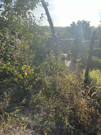 Купить дачу в Волгограде. Вариант № 5828894, 25, площадь -  квм, цена 1100000 рублей