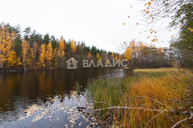 Купить земельный участок в Республике Карелия. Вариант № 10702, 7, площадь -  квм, цена 990000 рублей