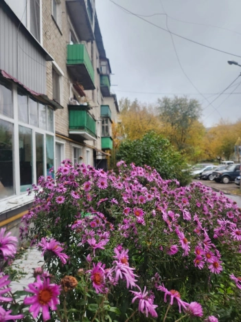 . Вариант № 16421, 21, площадь - 34 квм, цена 3700000 рублей