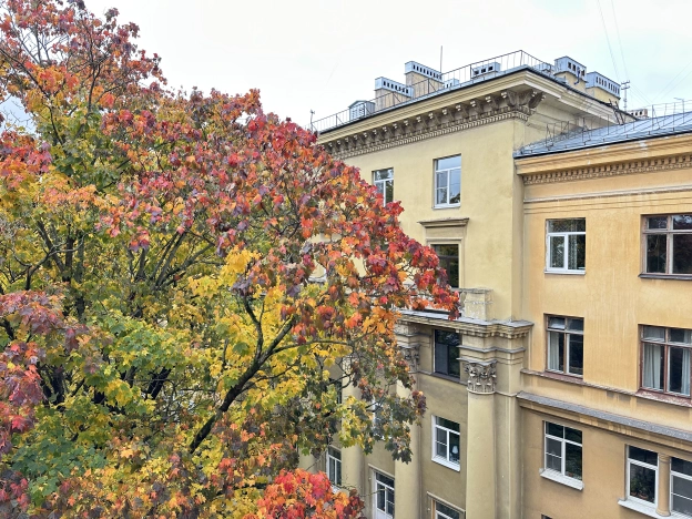 Купить двухкомнатную квартиру у метро Девяткино в Санкт-Петербурге. Вариант № 7610506, 23, площадь -  квм, цена 23499000 рублей