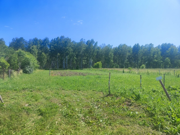 Купить земельный участок в Тюменской области. Вариант № 52255, 16, площадь -  квм, цена 280000 рублей