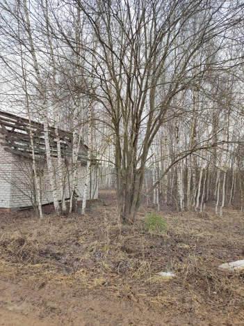 Купить земельный участок в Нижегородской области. Вариант № 31873, 10, площадь -  квм, цена 1150000 рублей