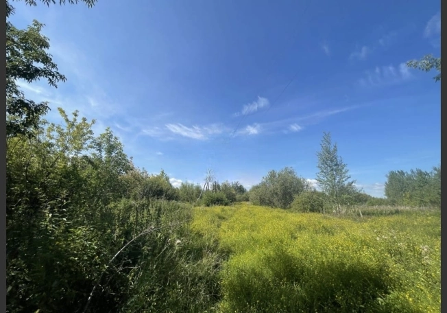 Купить земельный участок в Тобольске. Вариант № 19475, 3, площадь -  квм, цена 800000 рублей