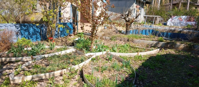 Купить дачу в Московской области. Вариант № 40291, 9, площадь -  квм, цена 1000000 рублей