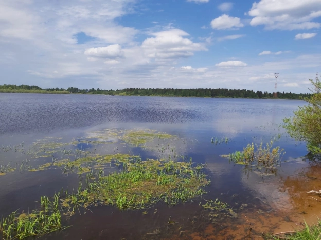 Купить земельный участок на улице Загородная в Ярославской области. Вариант № 649, 5, площадь -  квм, цена 7150000 рублей