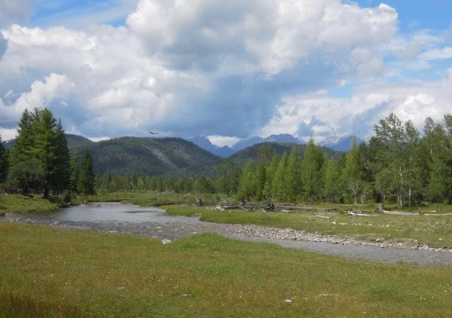 Купить земельный участок в Иркутской области. Вариант № 8841460, 0, площадь -  квм, цена 550000 рублей