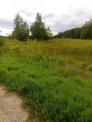 Купить земельный участок в Новосибирске. Вариант № 10650, 0, площадь -  квм, цена 599000 рублей