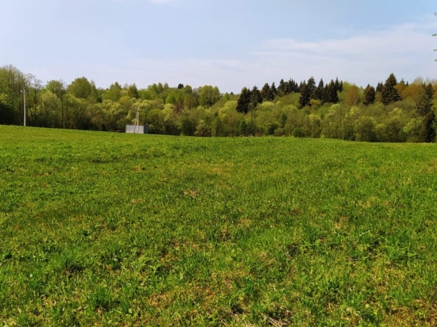 Купить земельный участок в Краснозаводске. Вариант № 972, 5, площадь -  квм, цена 1100000 рублей