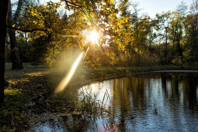 Купить земельный участок в Воронеже. Вариант № 12024, 7, площадь -  квм, цена 18000000 рублей