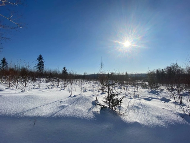 Купить земельный участок в районе планировочный  Лиственничное в Южно-Сахалинске. Вариант № 7026, 7, площадь -  квм, цена 1600000 рублей