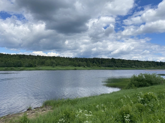 Купить земельный участок в Вологодской области. Вариант № 8738, 2, площадь -  квм, цена 420000 рублей
