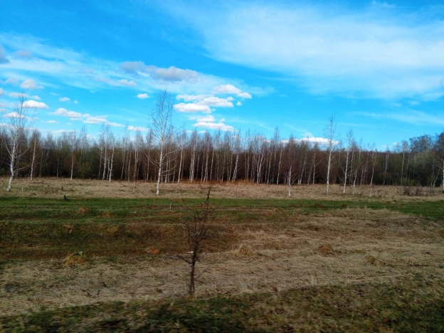 Купить земельный участок в Нижнем Новгороде. Вариант № 7736388, 1, площадь -  квм, цена 2000000 рублей