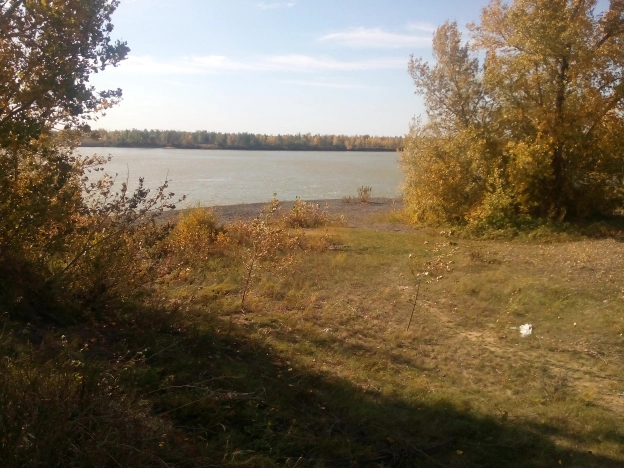 Купить земельный участок в Омской области. Вариант № 2736, 0, площадь -  квм, цена 390000 рублей