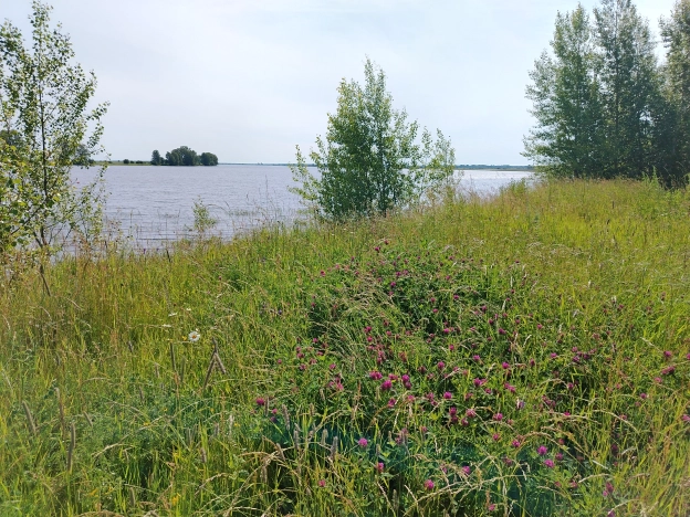 Купить дом на улице Набережная в Тюменской области. Вариант № 56332, 40, площадь -  квм, цена 3200000 рублей