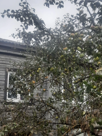 Купить однокомнатную квартиру на улице Красноармейская в Владимирской области. Вариант № 7714829, 1, площадь -  квм, цена 350000 рублей