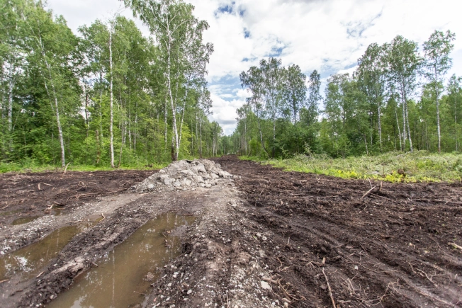 Купить земельный участок в Тобольске. Вариант № 1240439, 0, площадь -  квм, цена 1500000 рублей