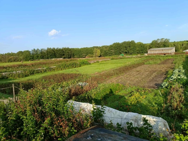 Купить дом на улице Новая в Тюменской области. Вариант № 13007, 15, площадь -  квм, цена 1700000 рублей