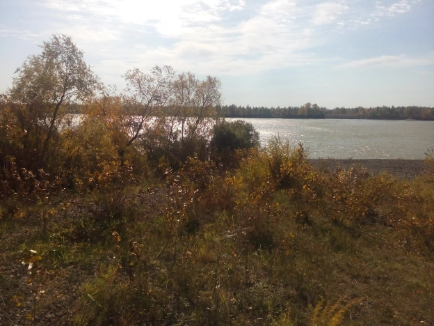 Купить земельный участок в Омской области. Вариант № 2736, 4, площадь -  квм, цена 390000 рублей