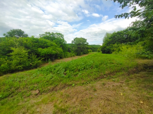 Купить дом на улице Михайловская в Приморском крае. Вариант № 686748, 1, площадь -  квм, цена 850000 рублей