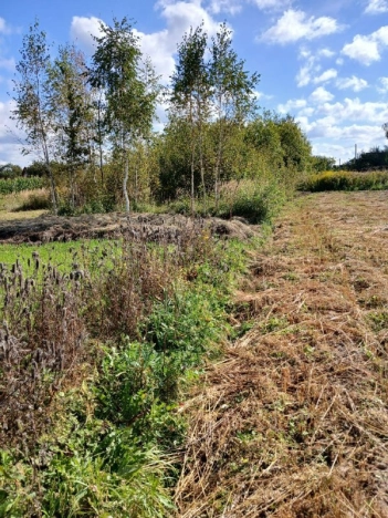 Купить земельный участок в Иванове. Вариант № 4174433, 2, площадь -  квм, цена 380000 рублей