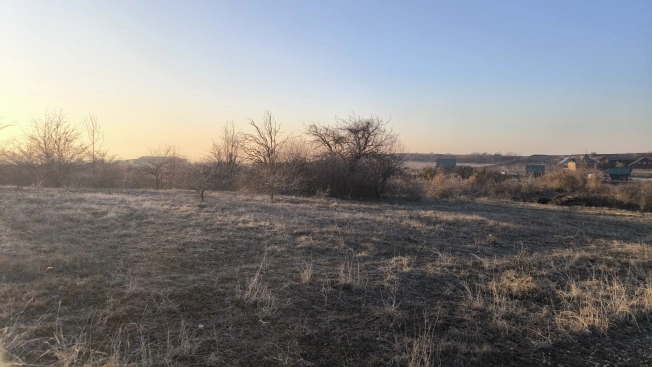 Купить земельный участок в Республике Крым. Вариант № 29221, 5, площадь -  квм, цена 800000 рублей