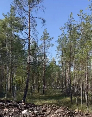 Купить земельный участок в Санкт-Петербурге. Вариант № 8628626, 2, площадь -  квм, цена 2500000 рублей