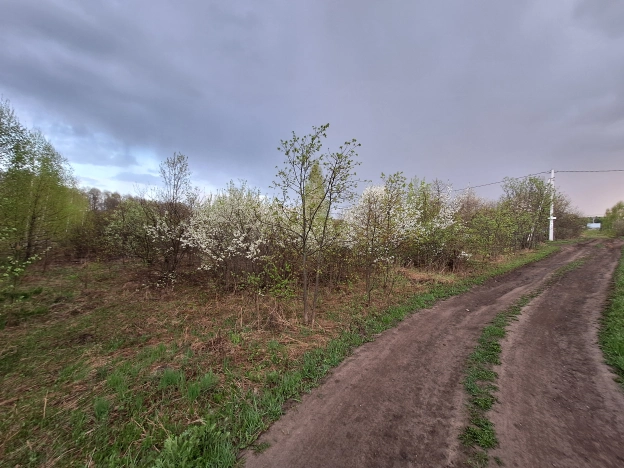 Купить земельный участок в Пензе. Вариант № 29182, 11, площадь -  квм, цена 2500000 рублей