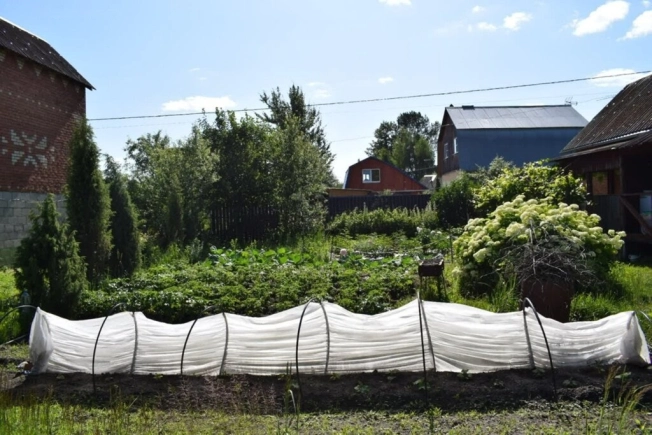 Купить дом в Раменском. Вариант № 9697217, 12, площадь -  квм, цена 2100000 рублей