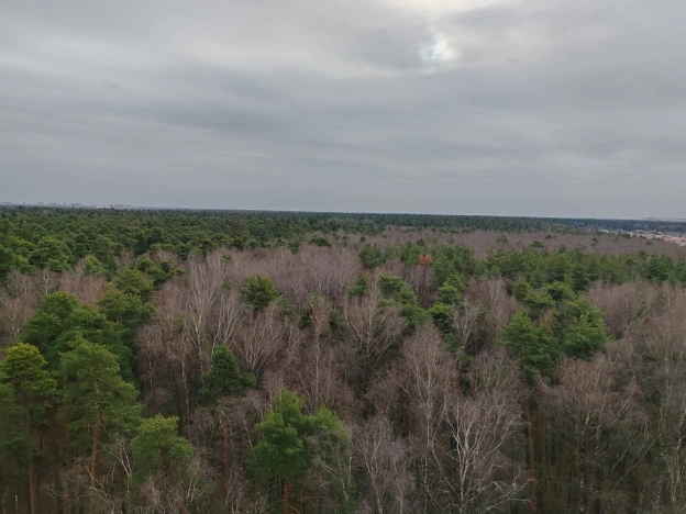 Купить трехкомнатную квартиру на улице Ленинский проспект в Москве. Вариант № 9826966, 21, площадь -  квм, цена 14000000 рублей