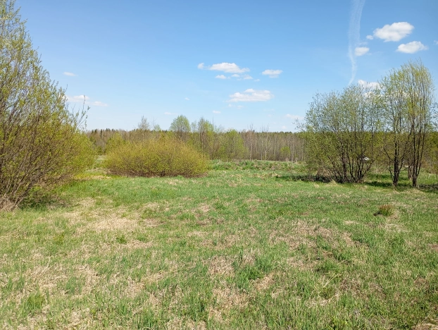 Купить земельный участок в Республике Коми. Вариант № 46055, 7, площадь -  квм, цена 240000 рублей