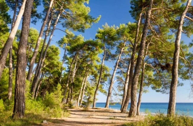 . Вариант № 741997, 14, площадь - 62.5 квм, цена 5125000 рублей