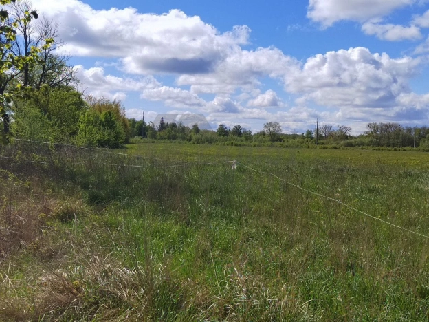 Купить земельный участок в Зеленоградске. Вариант № 47652, 0, площадь -  квм, цена 57100000 рублей