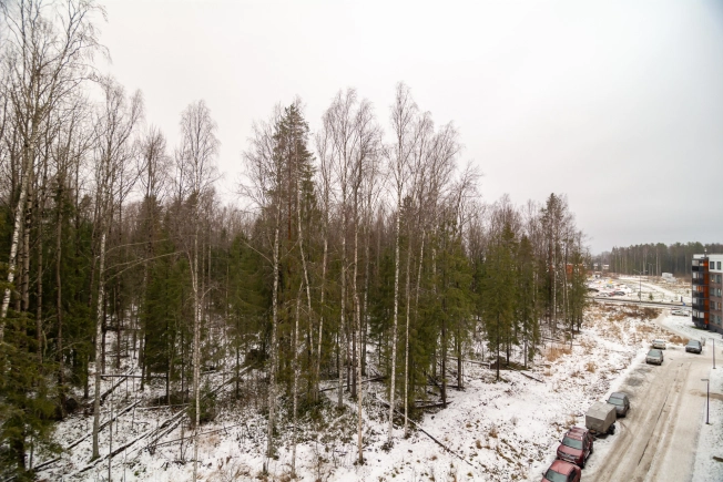 Купить квартиру на улице Андропова в Петрозаводске. Вариант № 10284454, 29, площадь -  квм, цена 8799000 рублей