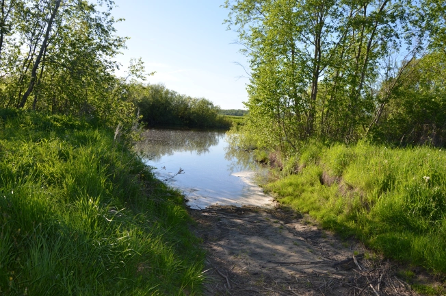 Купить земельный участок на улице Белые Ночи в Вологодской области. Вариант № 7150, 3, площадь -  квм, цена 844800 рублей