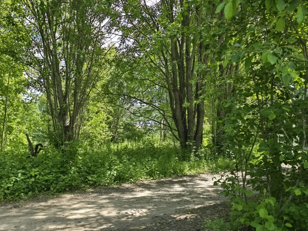 Купить земельный участок в Республике Карелия. Вариант № 21705, 11, площадь -  квм, цена 2000000 рублей