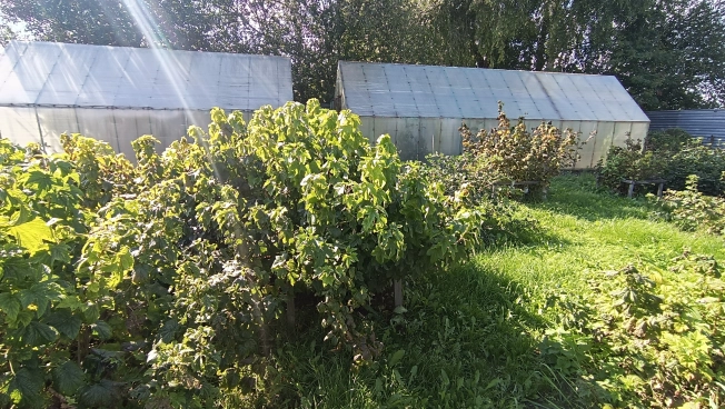 Купить дом в Микрорайоне Восточный, Тобольск в Тобольске. Вариант № 22430, 23, площадь -  квм, цена 15000000 рублей