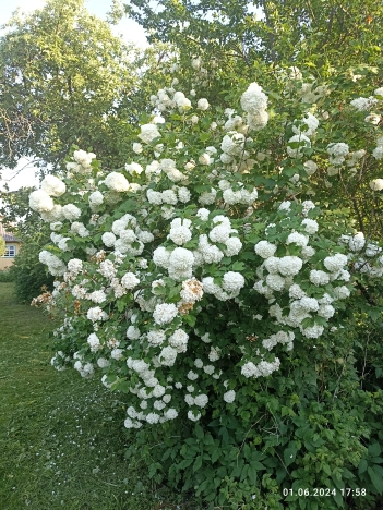 Купить дом в Калуге. Вариант № 8607, 21, площадь -  квм, цена 2400000 рублей