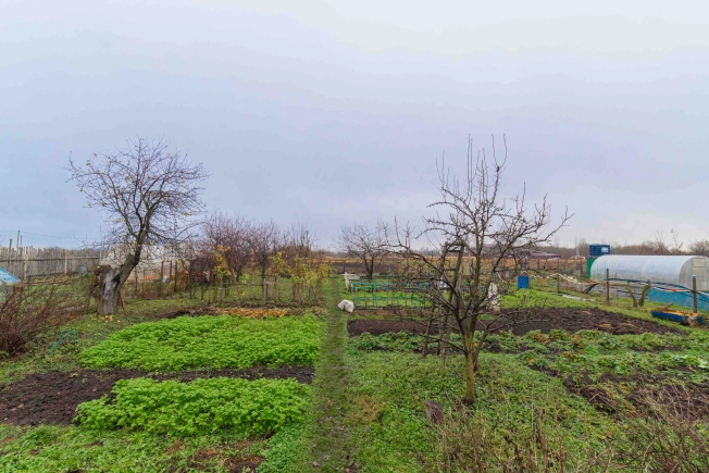 Купить дом на улице Центральная в Ивановской области. Вариант № 9289859, 36, площадь -  квм, цена 2700000 рублей