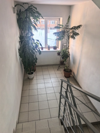 Купить Студию в Новосибирской области. Вариант № 10265388, 12, площадь -  квм, цена 3499000 рублей