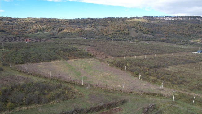 Купить земельный участок на улице Заречная в Республике Адыгея (адыгея). Вариант № 10499414, 3, площадь -  квм, цена 35000000 рублей