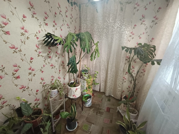 Купить двухкомнатную квартиру на улице Седина в Ейске. Вариант № 54579, 8, площадь -  квм, цена 2950000 рублей