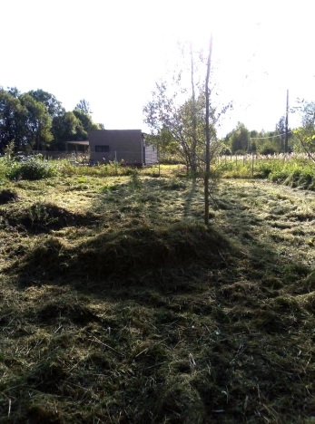 Купить земельный участок в Тульской области. Вариант № 17287, 2, площадь -  квм, цена 370000 рублей