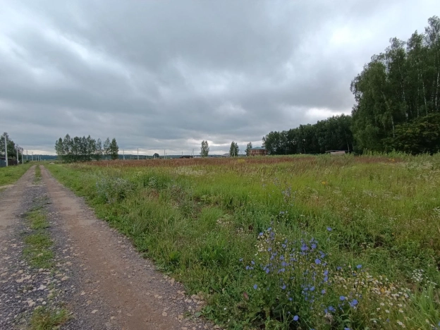 Купить земельный участок в Лакинске. Вариант № 804670, 1, площадь -  квм, цена 1500000 рублей