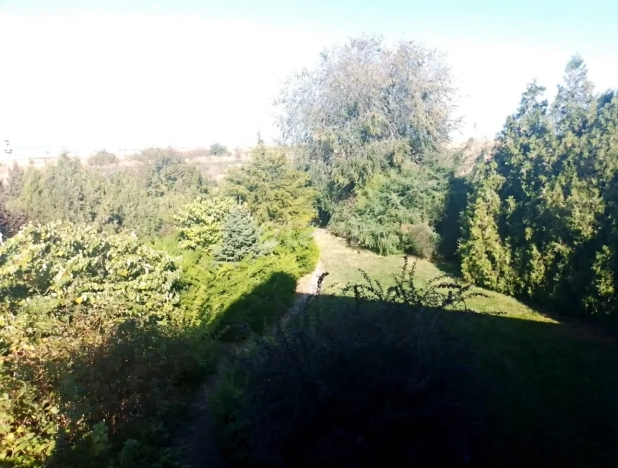 Купить дом на улице Васильковая в Краснодарском крае. Вариант № 8104810, 33, площадь -  квм, цена 14950000 рублей