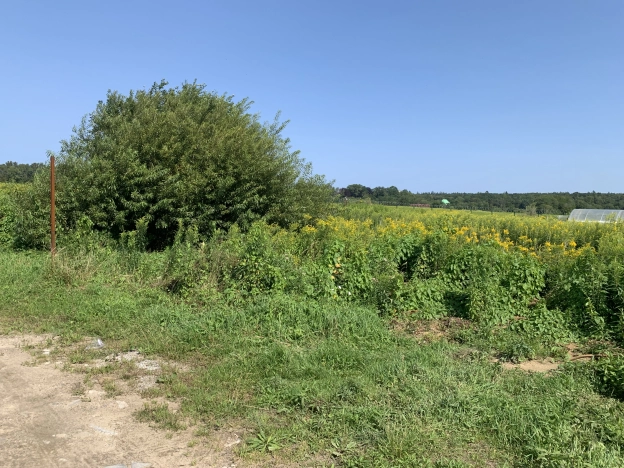 Купить земельный участок в Калининграде. Вариант № 6624676, 2, площадь -  квм, цена 1380000 рублей