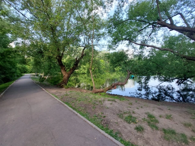 Снять квартиру у метро Царицыно в Москве. Вариант № 4029988, 24, площадь -  квм, цена 47000 рублей