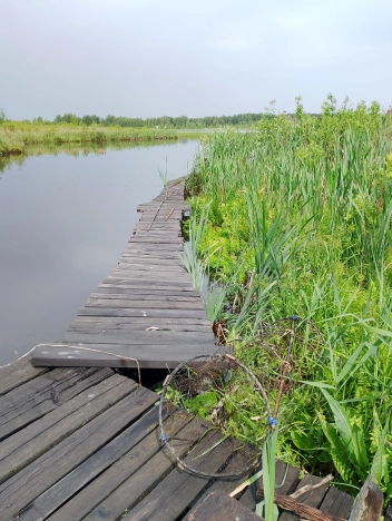 Купить дачу в Московской области. Вариант № 10607691, 17, площадь -  квм, цена 1800000 рублей